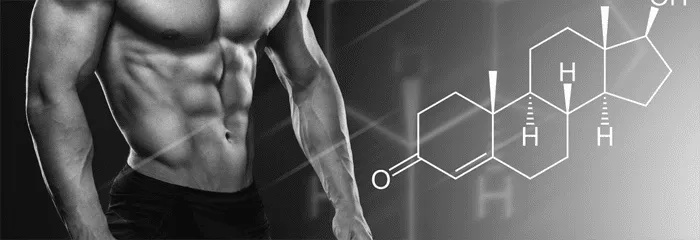 Medical science visualization representing hormone optimization